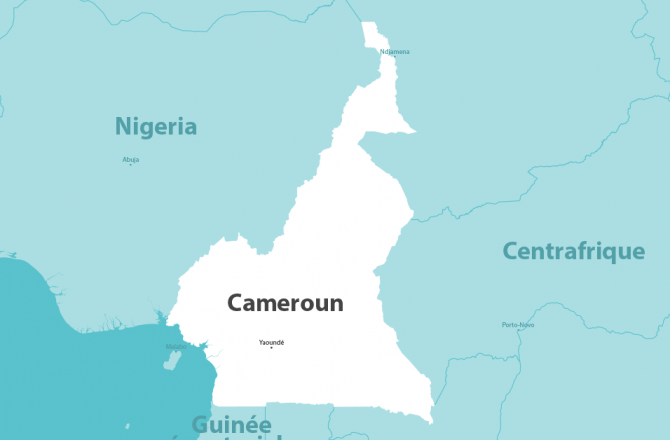 Conseils pour appeler le Cameroun