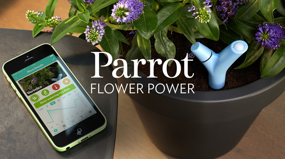 Parrot_flower_power