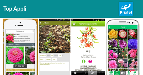 5 applications mobiles pour avoir la main verte